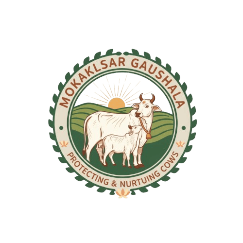 Mokalsar Gaushala